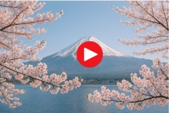 富士と桜