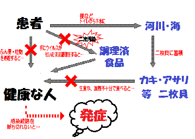 ノロウイルス感染経路図