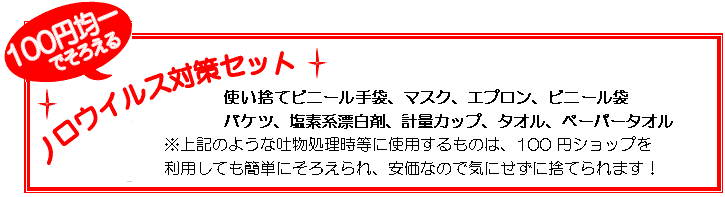 100円均一でそろえるノロウイルス対策セット