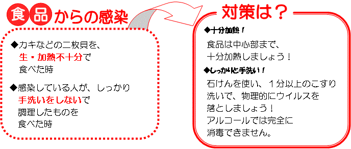 食品からの感染。対策は？