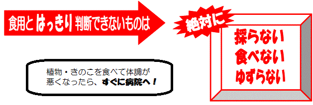 食用とはっきり判断できないものは採らない、食べない、ゆずらない