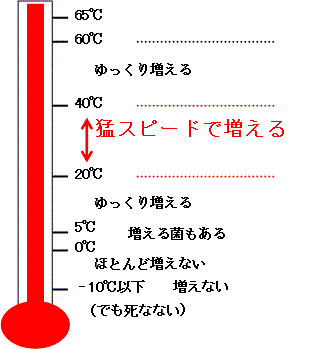 細菌と温度の関係