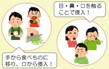 菌やウイルスは汚れた手から