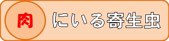 肉にいる寄生虫