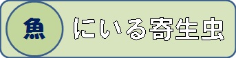 魚にいる寄生虫