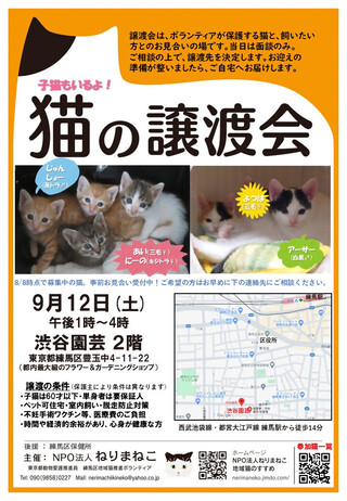 保護猫4きょうだいその他