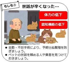 もしものケース3のイメージ
