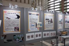 パネル展の様子