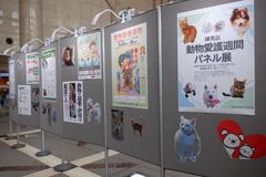 パネル展の様子