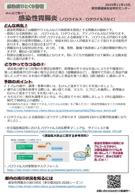 感染性胃腸炎（ノロウイルスなど）の季節到来！（チラシ）