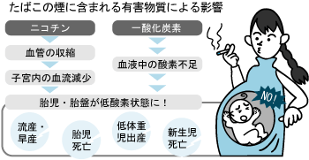 たばこの煙に含まれる有害物質による悪影響を受ける赤ちゃんの画像