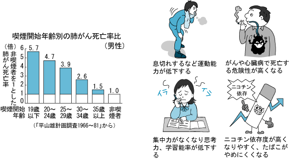 左側：グラフ喫煙開始年齢の肺がん死亡率の画像・右側：たばこを吸うことによる様々な悪影響の画像