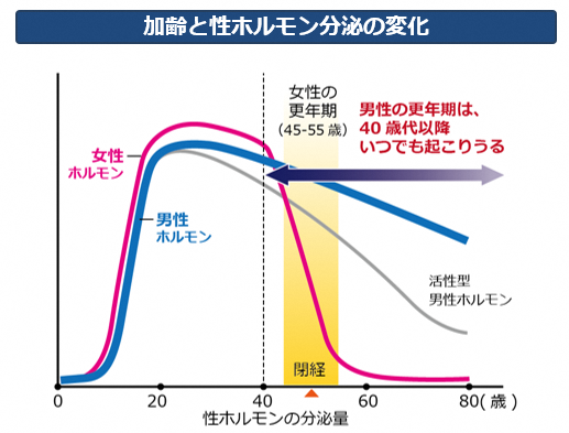 男性ホルモンの変化グラフ