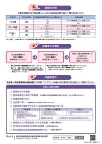 B型・C型肝炎ウイルスによる肝がん・重度肝硬変医療費助成制度のご案内（リーフレット）（令和6年7月発