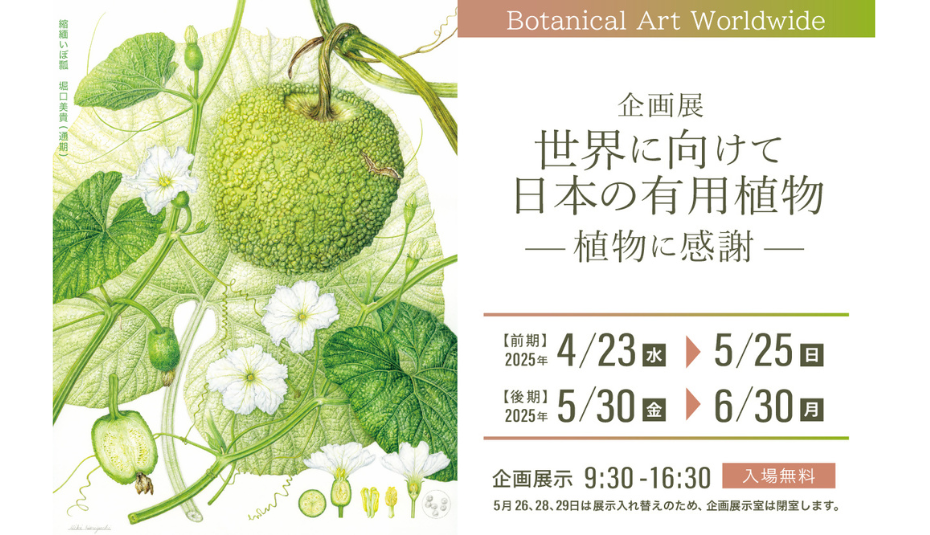 【企画展】「Botanical Art Worldwide 世界に向けて日本の有用植物 ‐植物に感謝