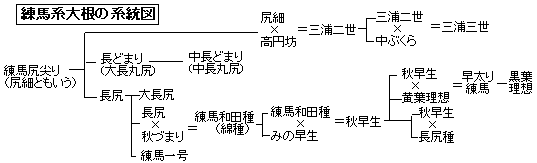 練馬系大根の系統図