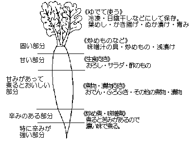 大根の部分別利用法の画像