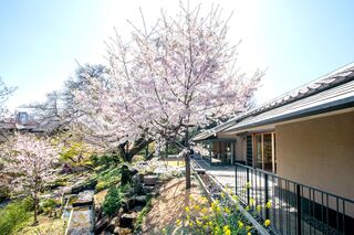 向山庭園春の風景