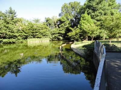 かえる池の写真