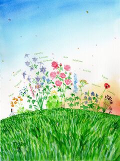水彩画展