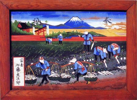 狐の大根取り入れ図絵馬（実物）