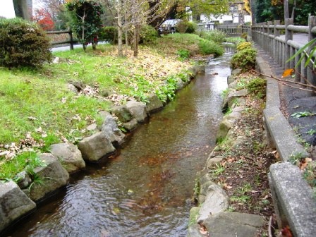 千川上水跡の写真