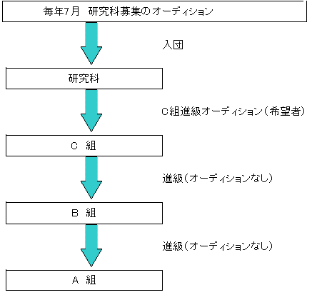 入団、進級チャート