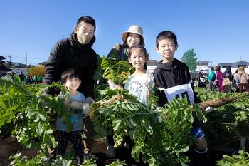引っこ抜きの様子2