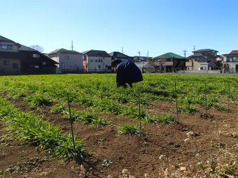 ▲今年もよろしくお願いします