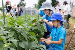 家族で収穫体験