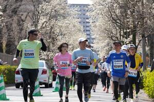 2025大会の様子(こぶしや桜など季節のお花を楽しめるコース設定となっています)