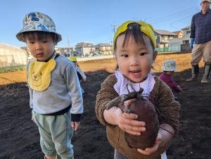 芋ほり