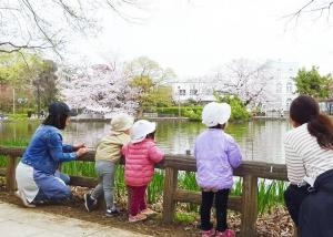 近隣公園の写真