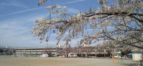 練馬区立小中一貫教育校　大泉桜学園