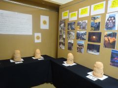 作品展の様子（ひまわり青年学級）