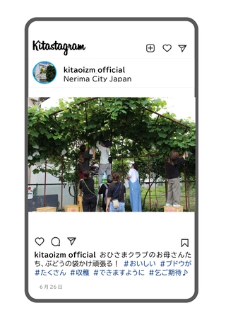 保護者の方がブドウに袋をかけてくださっている写真です