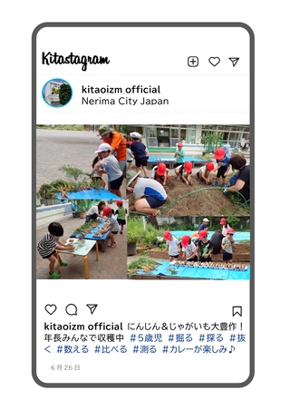 年長組がじゃがいもを収穫している写真です