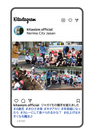 年少組がジャガイモ植えをしている写真