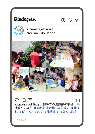 年少組が夏野菜を収穫している写真