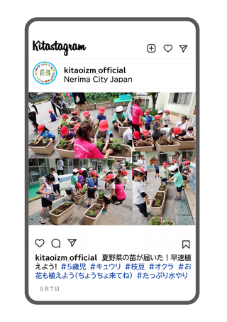 年長組が夏野菜の苗を植えている写真