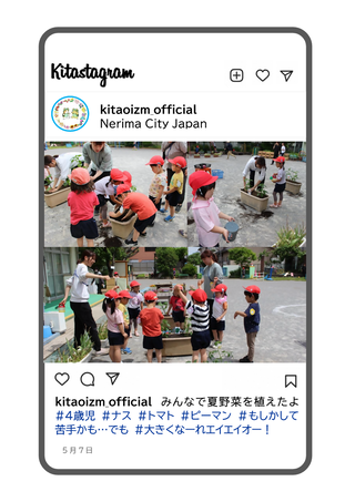 年少組が夏野菜を植えている写真