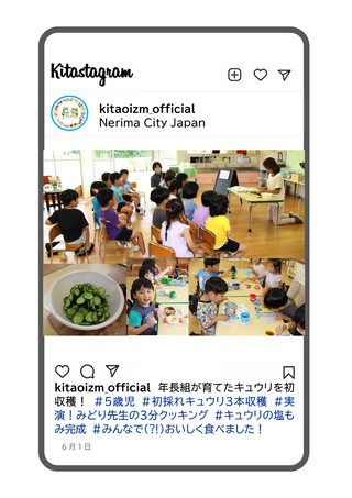 年長組が収穫したキュウリを食べる写真