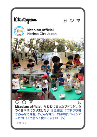 園庭で収穫したブドウを食べる写真