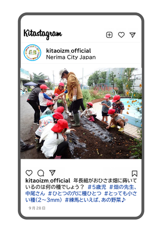 年長組が大根の種を蒔いている写真