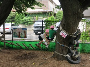 裏庭アスレチックの写真