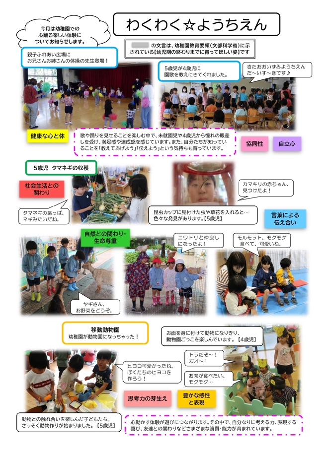 園だより6月号の写真