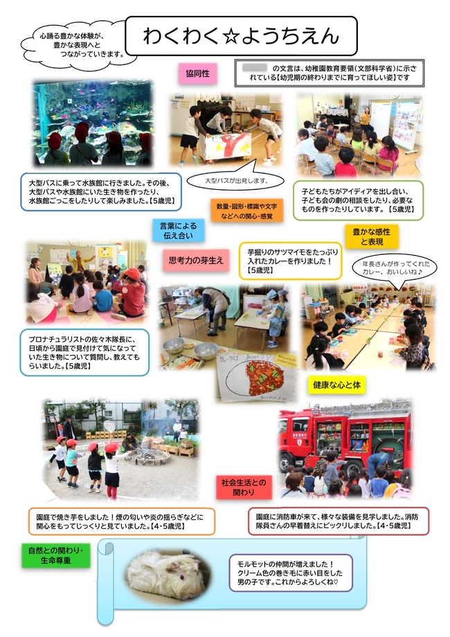 園だより12月号の写真