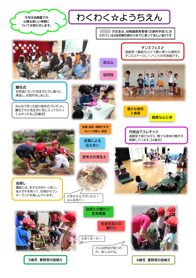 園だより6月号の写真