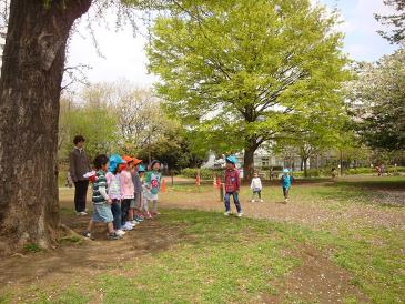 秋の陽公園散歩