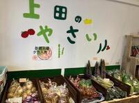 野菜が売られている様子の写真